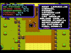 Briley Witch Chronicles - C64
