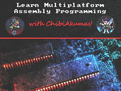 Learn Multiplatform Assembly Programming